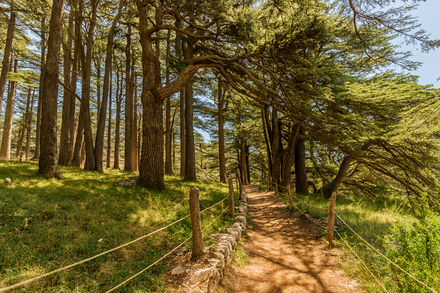 Paysage apaisant illustrant un espace de psychothérapie
